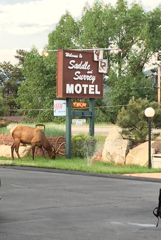 Saddle & Surrey Motel Estes Park Kültér fotó